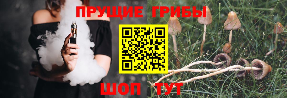 Псилоцибиновые грибы мухоморы Мурманск